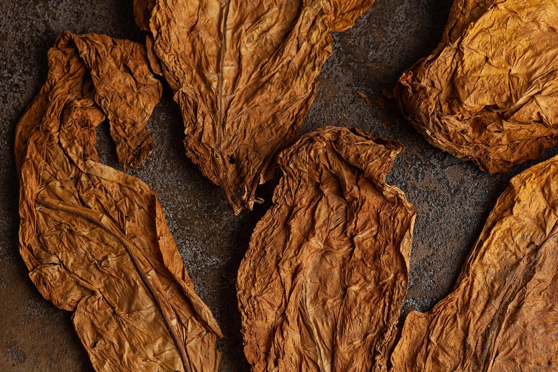 KM Tobacco General Trading FZ-LLC Photo -038 KM Tobacco General Trading FZ-LLC Photo -038